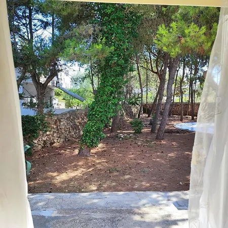 Francesca ヴィラ *